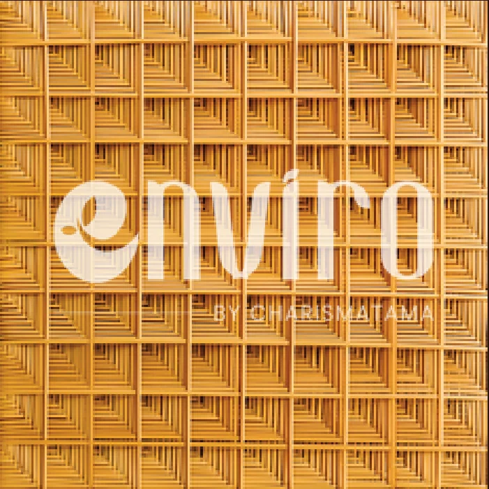 ENVIRO Pattern 10